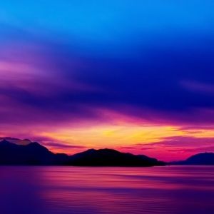 Meet your Posher, Dylan